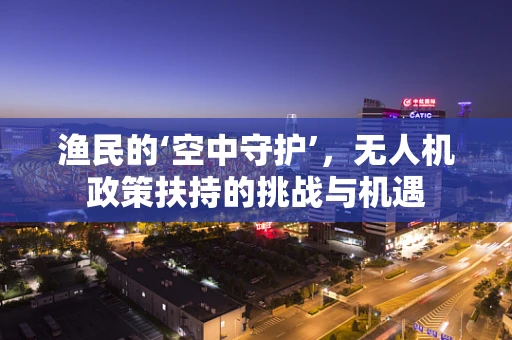 渔民的‘空中守护’，无人机政策扶持的挑战与机遇