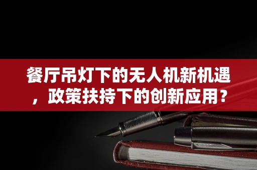 餐厅吊灯下的无人机新机遇，政策扶持下的创新应用？