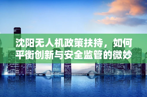 沈阳无人机政策扶持，如何平衡创新与安全监管的微妙平衡？