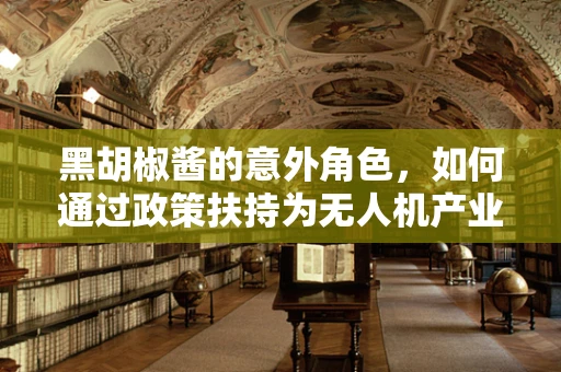 黑胡椒酱的意外角色，如何通过政策扶持为无人机产业增添‘调味’？