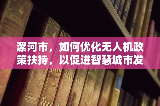 漯河市，如何优化无人机政策扶持，以促进智慧城市发展？