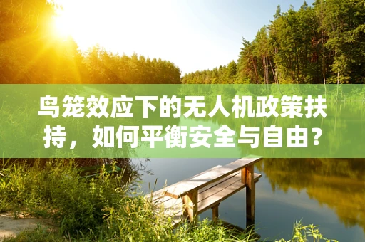 鸟笼效应下的无人机政策扶持，如何平衡安全与自由？