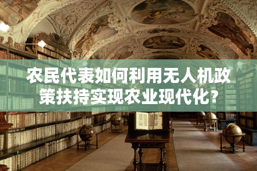 农民代表如何利用无人机政策扶持实现农业现代化？