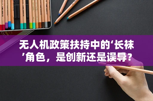 无人机政策扶持中的‘长袜’角色，是创新还是误导？
