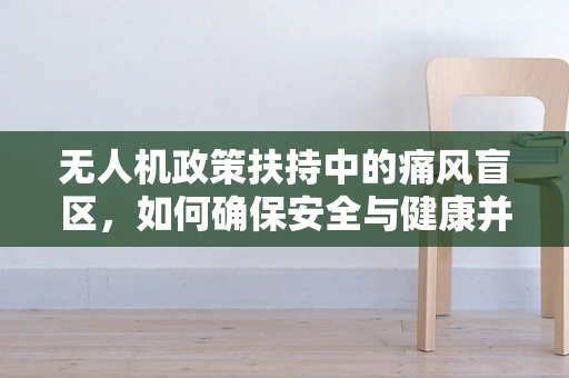 无人机政策扶持中的痛风盲区，如何确保安全与健康并重？