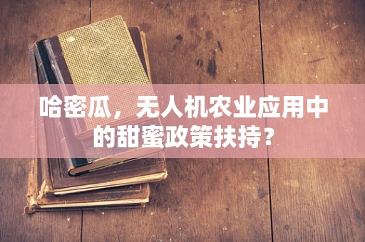 哈密瓜，无人机农业应用中的甜蜜政策扶持？