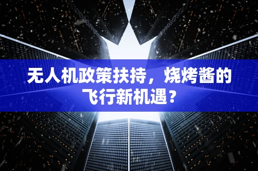无人机政策扶持，烧烤酱的飞行新机遇？
