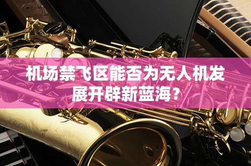 机场禁飞区能否为无人机发展开辟新蓝海？