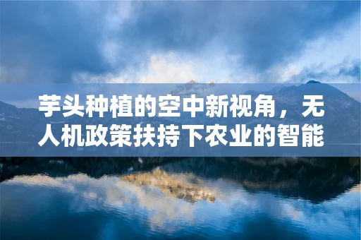 芋头种植的空中新视角，无人机政策扶持下农业的智能化转型