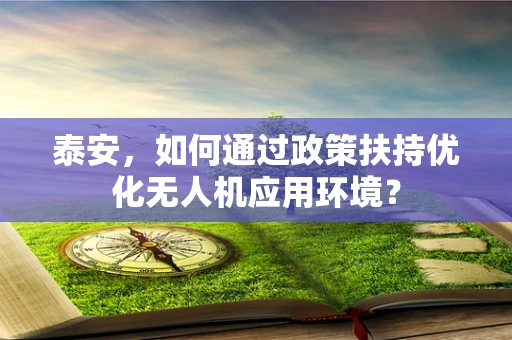 泰安，如何通过政策扶持优化无人机应用环境？