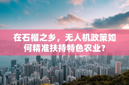 在石榴之乡，无人机政策如何精准扶持特色农业？