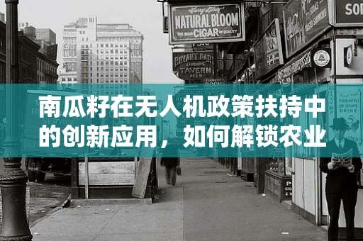 南瓜籽在无人机政策扶持中的创新应用，如何解锁农业监测新维度？