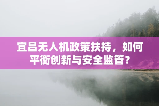 宜昌无人机政策扶持，如何平衡创新与安全监管？