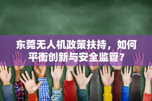 东莞无人机政策扶持，如何平衡创新与安全监管？