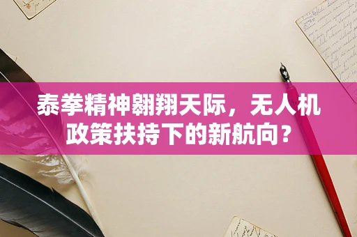 泰拳精神翱翔天际，无人机政策扶持下的新航向？