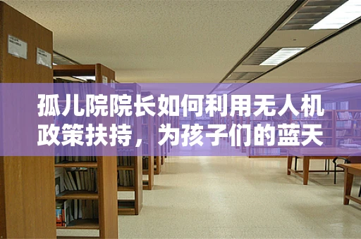 孤儿院院长如何利用无人机政策扶持，为孩子们的蓝天梦插上翅膀？