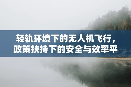 轻轨环境下的无人机飞行，政策扶持下的安全与效率平衡