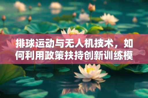排球运动与无人机技术，如何利用政策扶持创新训练模式？