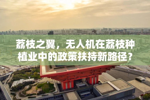 荔枝之翼，无人机在荔枝种植业中的政策扶持新路径？