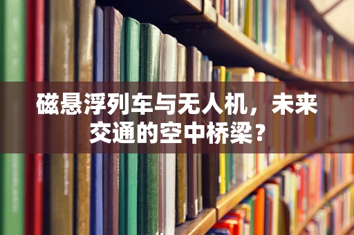 磁悬浮列车与无人机，未来交通的空中桥梁？