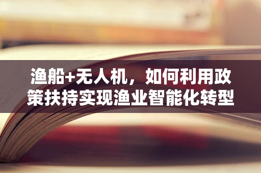 渔船+无人机，如何利用政策扶持实现渔业智能化转型？