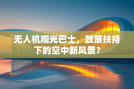 无人机观光巴士，政策扶持下的空中新风景？