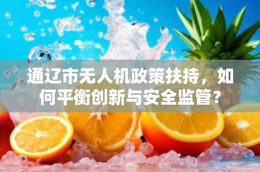 通辽市无人机政策扶持，如何平衡创新与安全监管？
