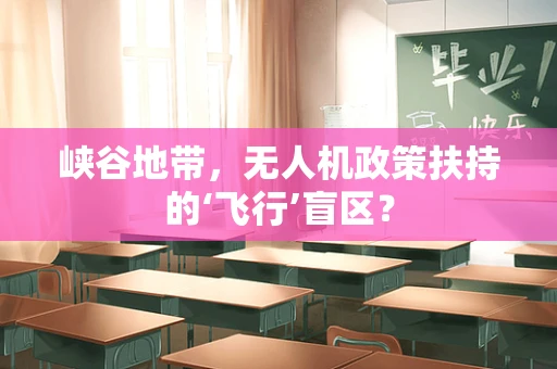峡谷地带，无人机政策扶持的‘飞行’盲区？