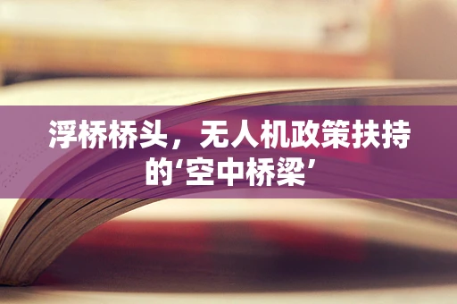 浮桥桥头，无人机政策扶持的‘空中桥梁’