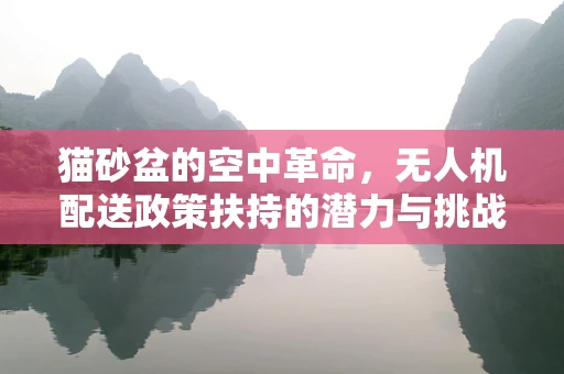 猫砂盆的空中革命，无人机配送政策扶持的潜力与挑战？