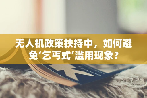 无人机政策扶持中，如何避免‘乞丐式’滥用现象？