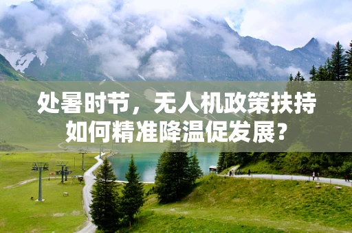 处暑时节，无人机政策扶持如何精准降温促发展？