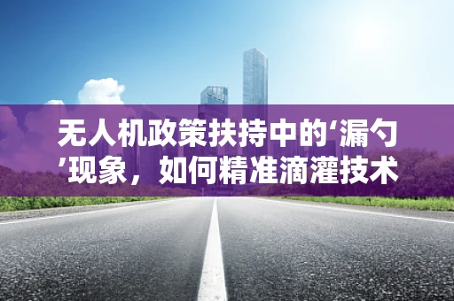 无人机政策扶持中的‘漏勺’现象，如何精准滴灌技术发展？