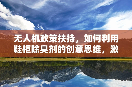 无人机政策扶持，如何利用鞋柜除臭剂的创意思维，激发创新应用？