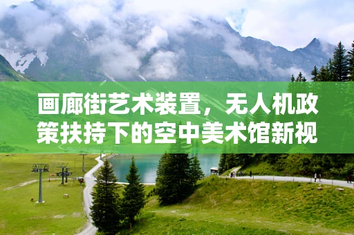 画廊街艺术装置，无人机政策扶持下的空中美术馆新视角？