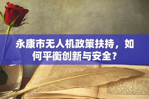 永康市无人机政策扶持，如何平衡创新与安全？