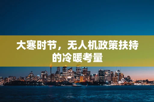 大寒时节，无人机政策扶持的冷暖考量