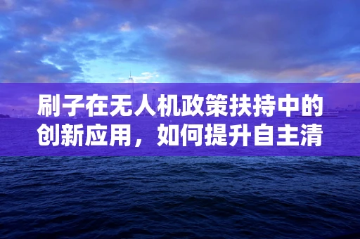 刷子在无人机政策扶持中的创新应用，如何提升自主清洁效率？
