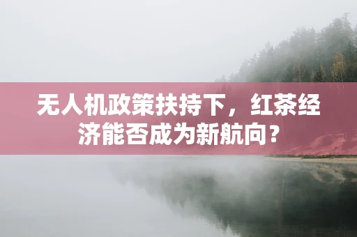 无人机政策扶持下，红茶经济能否成为新航向？