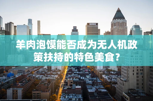 羊肉泡馍能否成为无人机政策扶持的特色美食？