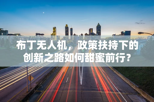 布丁无人机，政策扶持下的创新之路如何甜蜜前行？