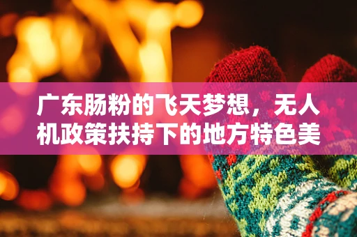 广东肠粉的飞天梦想，无人机政策扶持下的地方特色美食新航道？
