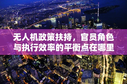 无人机政策扶持，官员角色与执行效率的平衡点在哪里？