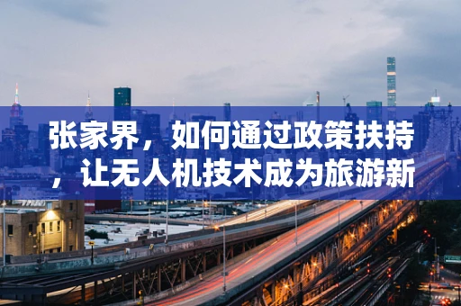 张家界，如何通过政策扶持，让无人机技术成为旅游新引擎？
