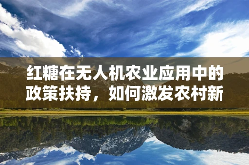红糖在无人机农业应用中的政策扶持，如何激发农村新动力？
