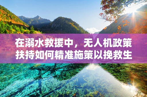 在溺水救援中，无人机政策扶持如何精准施策以挽救生命？