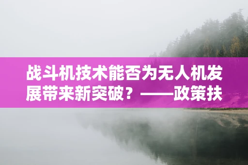 战斗机技术能否为无人机发展带来新突破？——政策扶持下的跨界融合探索