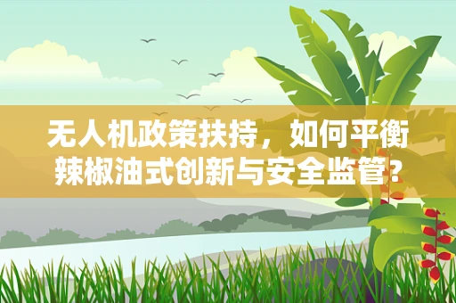 无人机政策扶持，如何平衡辣椒油式创新与安全监管？