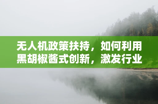 无人机政策扶持，如何利用黑胡椒酱式创新，激发行业新活力？