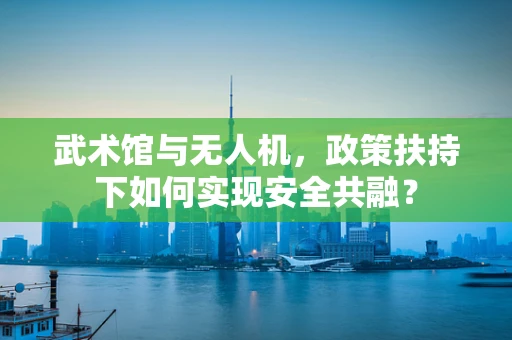 武术馆与无人机，政策扶持下如何实现安全共融？